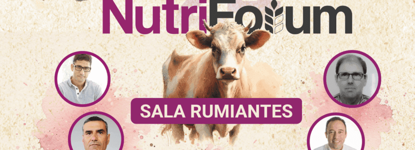 nutriForum 2024: Actualización en Nutrición de Rumiantes