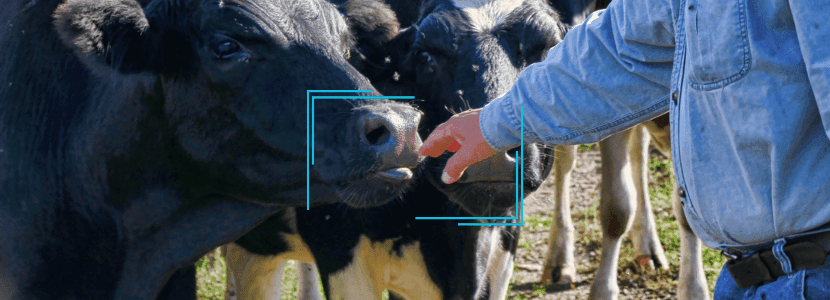 La etología y la producción en vacunos de leche