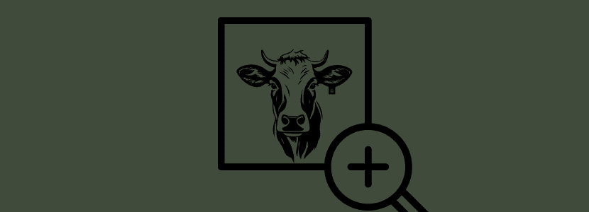 Razas de Vacuno de Carne en España: Eficiencia Genética y Adaptabilidad Ambiental