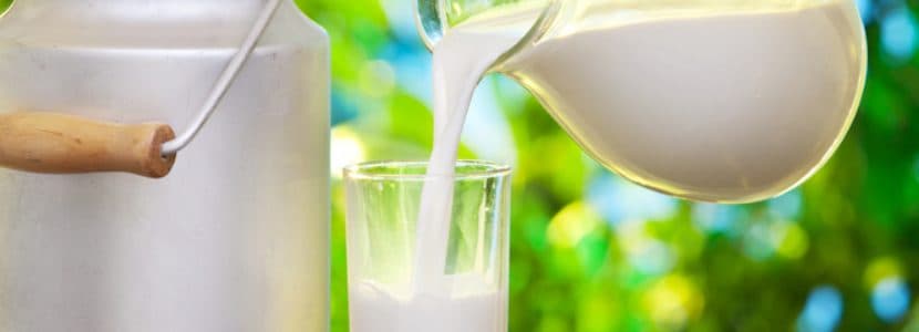 La calidad y el precio leche han mejorado en un 50% según OCU