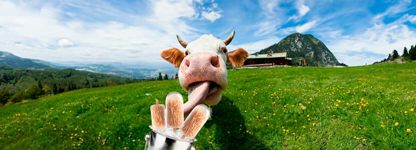 Estrategias nutricionales para mitigar el estrés por calor en vacas lecheras