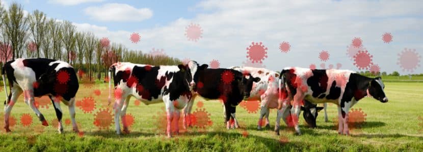 Unión de Uniones resalta los daños económicos provocados por la EHE