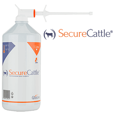 SecureCattle®, FEROMONA MATERNAL BOVINA
