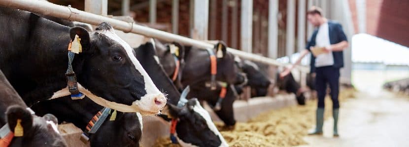 El Relevo Generacional: Un Desafío para el Futuro