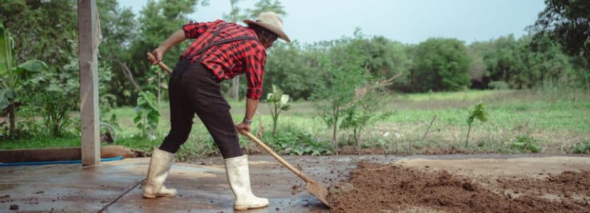 Estiércol vacuno para una agricultura sostenible