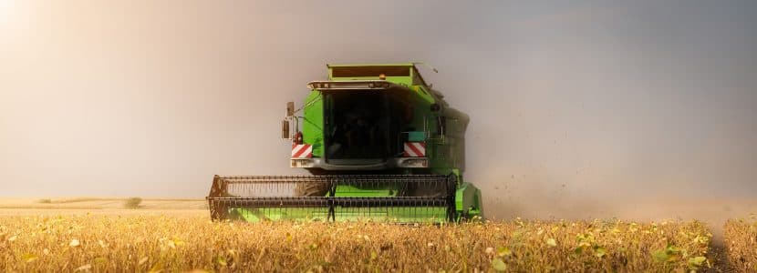 Informe materias primas agosto – Presión de cosechas y baja demanda llevan a mínimos los precios de los granos