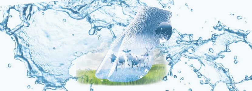 La huella hídrica del vacuno lechero