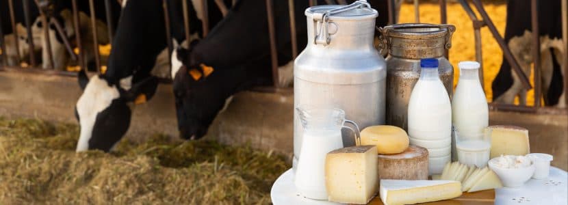 El sector lácteo español: recuperación productiva en medio de tensiones y desafíos