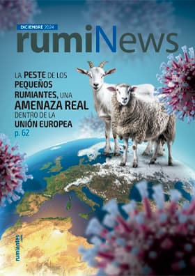 rumiNews Diciembre 2024