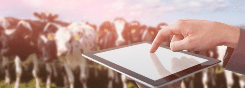 El cuaderno digital de explotación pasa a ser voluntario en España