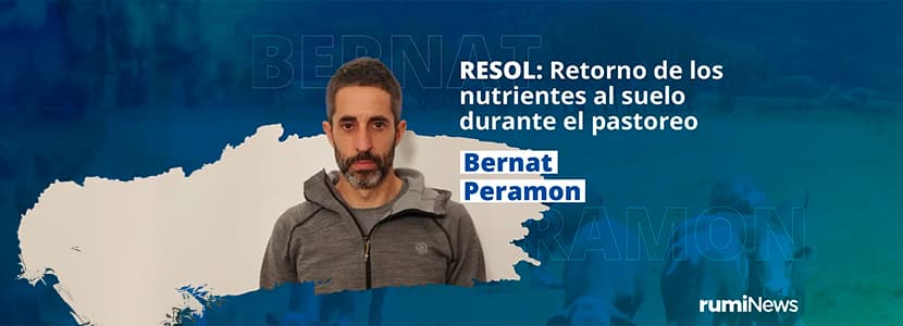 rumiNews On Air: Retorno de los nutrientes al suelo durante el pastoreo con Bernat Perramon