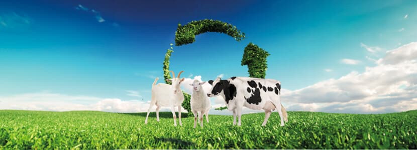Nueva normativa de envases y residuos: ¿cómo afecta al sector ganadero y a los productores?