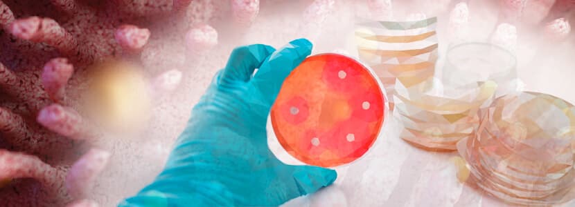 Resultados de etiología y sensibilidad antibiótica en procesos digestivos en bovino