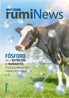 rumiNews Marzo 2025