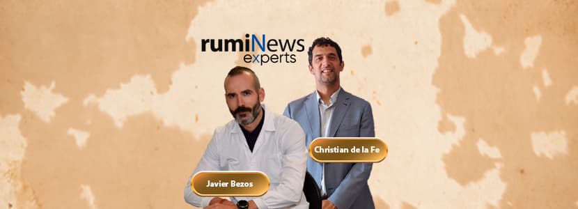 rumiNews Experts – Tuberculosis en rumiantes: retos actuales y claves para su erradicación con Javier Bezos