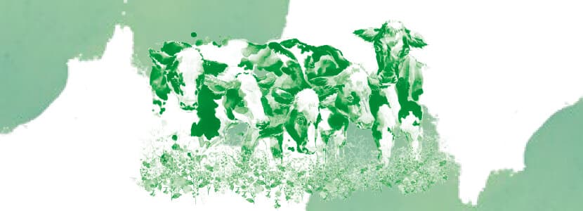 Estrategias alternativas para reducir el uso de antimicrobianos en el tratamiento de la mastitis bovina