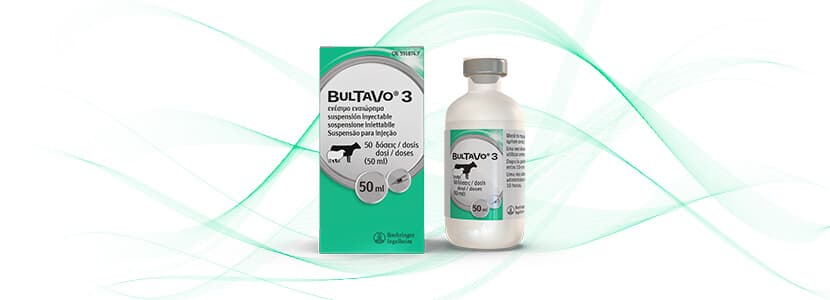 Boehringer Ingelheim obtiene la autorización para la comercialización de BULTAVO 3® frente al serotipo 3 de la lengua azul para ovino y vacuno