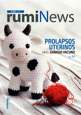 rumiNews Junio 2025
