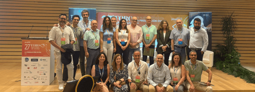 MSD Animal Health presenta en el Foro Nacional del Ovino una innovadora estrategia para el manejo de la coccidiosis en ovino
