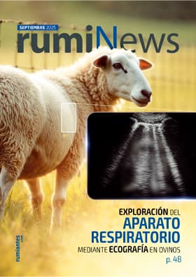 rumiNews Septiembre 2025