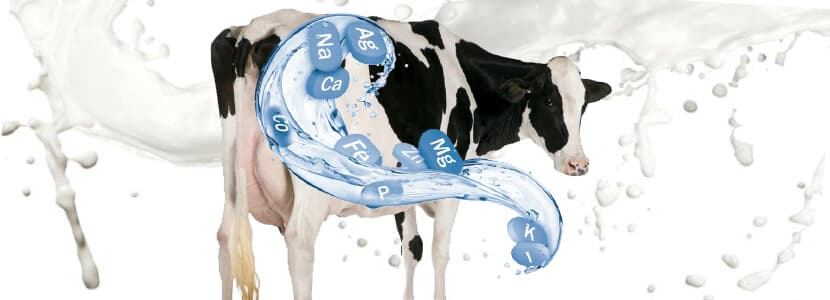 Importancia del equilibrio mineral en la prevención de la mastitis en vacuno lechero