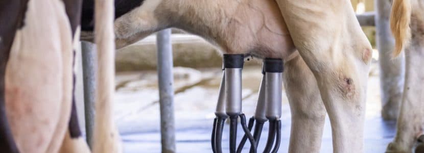 El impacto positivo de los sistemas de ventilación