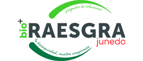 Raesgra