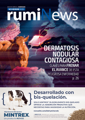 rumiNews Noviembre 2025
