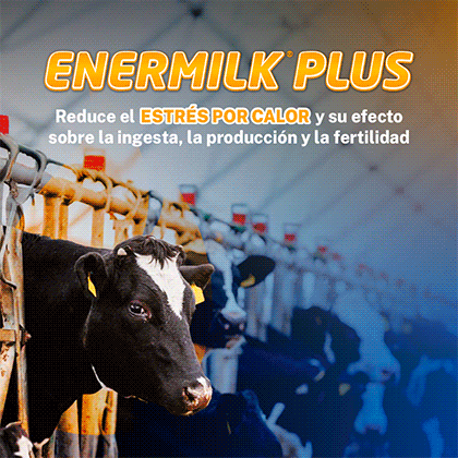 INNOFARM 2026