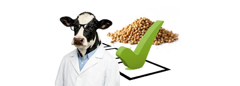 Calidad del gránulo en piensos para vacas: factores que marcan la diferencia