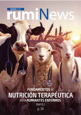 rumiNews Marzo 2026