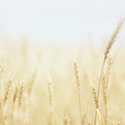 nutriFORUM
