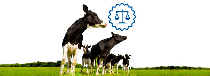 Se aproximan novedades sobre la legislación de la industria alimentaria