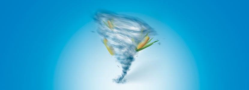 Las previsiones del mercado de materias primas para el mes de junio