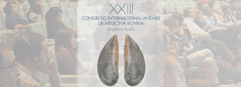 Éxito de convocatoria del XXIII Congreso Internacional Anembe