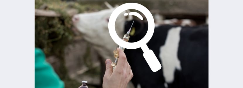 Nuevo acuerdo para mejorar la regulación de medicamentos veterinarios