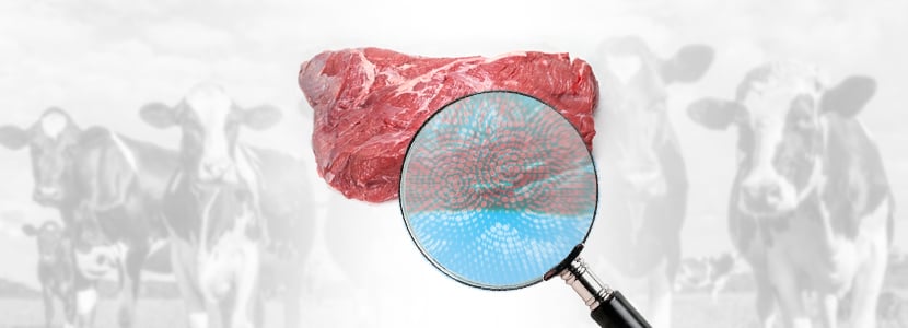 El análisis de metadatos mejora la calidad de la carne de vacuno