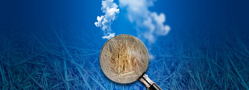 ¿Producción de gas para la valoración nutritiva de los alimentos?