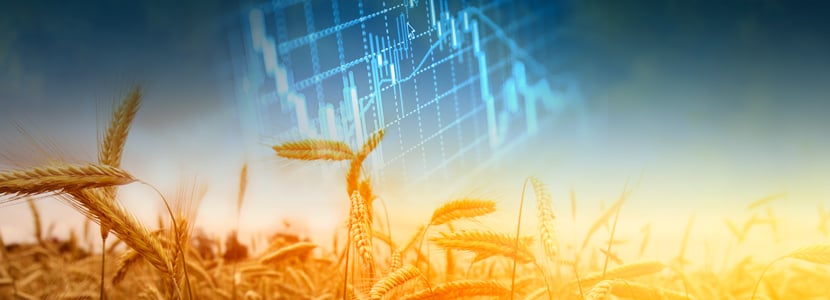 Ponte al día con el mercado de materias primas en noviembre