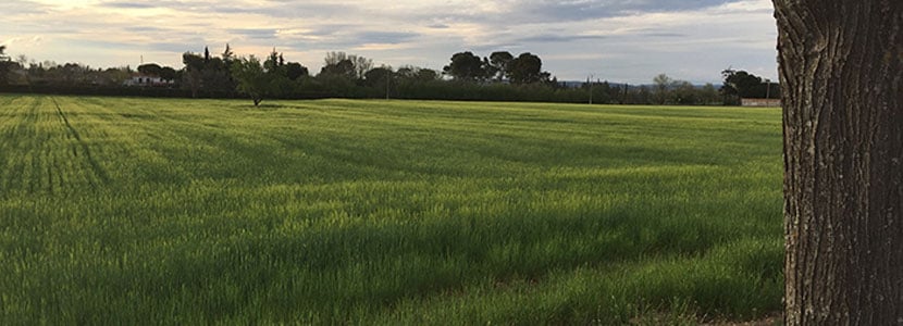 PAC: Rebaja de la multa al coeficiente de pastos
