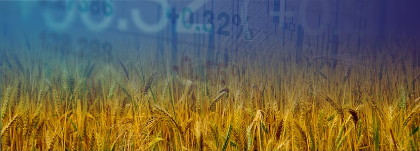 ¿Cómo se presentará el mercado de materias primas en el 2019?