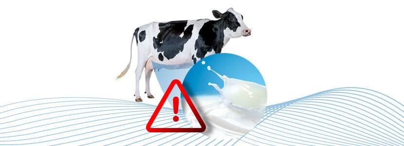 ¿Detección de animales con Fiebre Aftosa a través de su leche?