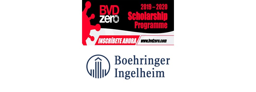 Becas BVDzero para estudiantes de veterinaria de todo el mundo