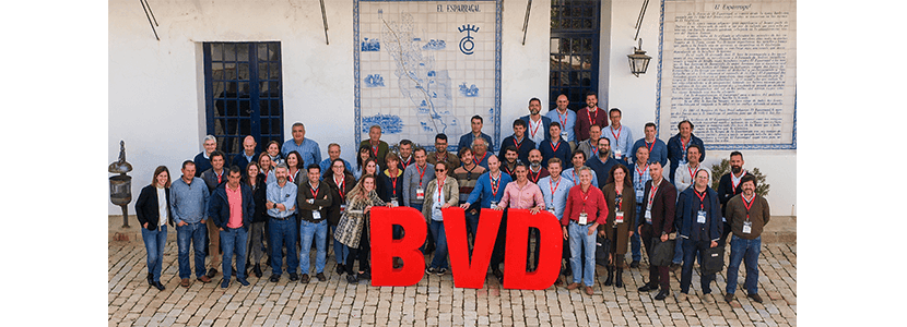 Jornada técnica de Boehringer Ingelheim sobre BVD para veterinarios