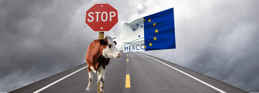 Productores de vacuno muestran su rechazo por el acuerdo de Mercosur