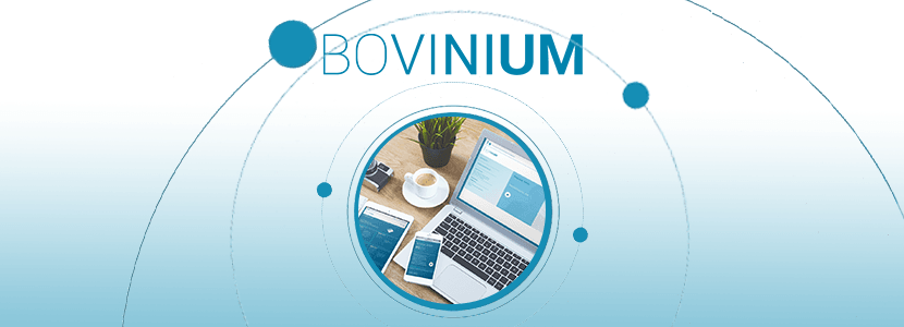 Bovinium se actualiza con nuevos contenidos sobre el Síndrome Respiratorio Bovino