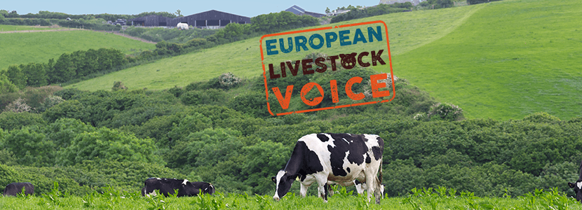 European Livestock Voice - Una lanza a favor del sector ganadero