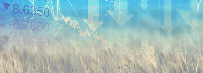 Previsión del mercado del materias primas en octubre