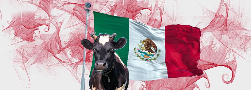 Situación de la industria láctea en México: producción y comercialización