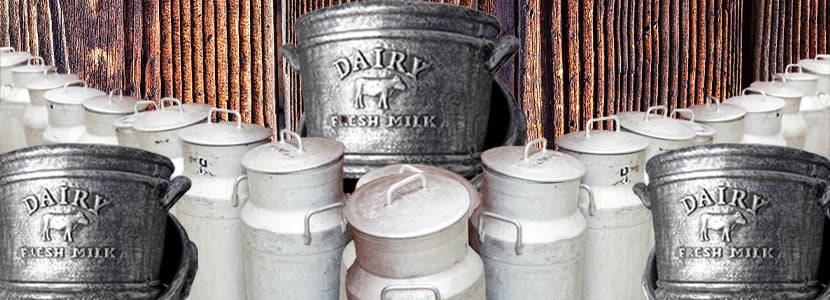 Venta de leche fresca a granel: Granjas-Vaquerías en las ciudades